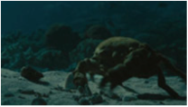 Underwater