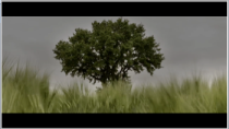 "Ecobot" <br/> Naturalistic Version